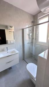 La salle de bains est pourvue d'une douche, d'un lavabo et de toilettes. dans l'établissement Apartment Barbin, à Vodice