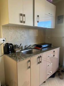 eine Küche mit Spüle und Arbeitsplatte in der Unterkunft استديو فندقى مكيف فيو مميز بتراس AquaView in El Qasaba esh Sharqīya