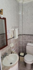 y baño con lavabo, aseo y espejo. en Hotel Carmen, en Tarija