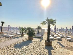 a beach with chairs and palm trees and the ocean at Apartament Sunshine in Năvodari