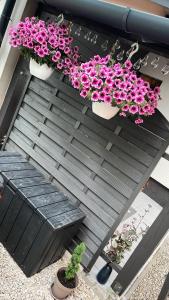 Balkón nebo terasa v ubytování Kiscsillag Apartman + 5 fotografií