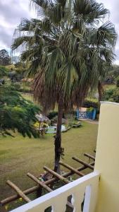 eine Palme neben einem weißen Zaun in der Unterkunft Pousada & Camping Recanto dos Anjos Azuis in Paty do Alferes