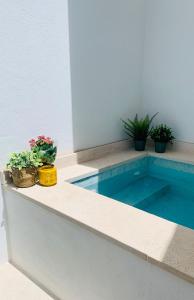 a swimming pool with potted plants on top of it at Casa Longa Faro Entire House - Plunge Pool and Terrace in Faro