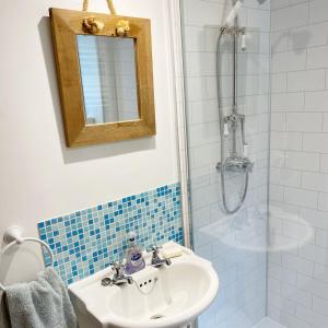 a bathroom with a sink and a shower with a mirror at Llynhillyn Cottage in Presteigne