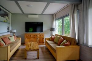 ein Wohnzimmer mit 2 Sofas und einem TV in der Unterkunft Ferienhaus am See im Bergland "Schmetterling" in Kirchheim