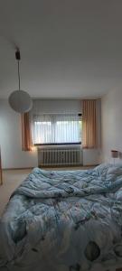 a bedroom with a large bed and a window at Haus Am Teich Oetjens in Weilburg_Gaudernbach