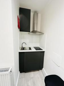 Kuchyň nebo kuchyňský kout v ubytování Studio Near London Big Ben