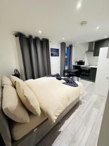 Η κουζίνα ή μικρή κουζίνα στο Studio in Oval London