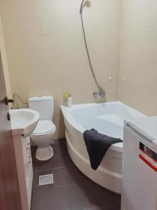 a bathroom with a tub and a toilet and a sink at CC Accommodation in Popeşti-Leordeni