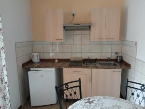 Kuchyň nebo kuchyňský kout v ubytování Apartamenty Jakob