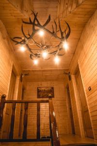 Galeriebild der Unterkunft Cabana Iulian in Petrila