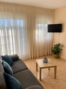 TV a/nebo společenská místnost v ubytování B&C House