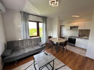 a living room with a couch and a table at Apartman Nikola in Topusko
