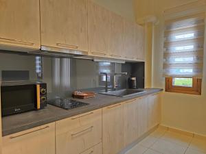 Kuchyň nebo kuchyňský kout v ubytování Master Residence Lavrion