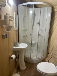 a bathroom with a shower and a toilet and a sink at Glamping Tent Laskari in Nea Moudania