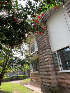 A garden outside The Library Hostel