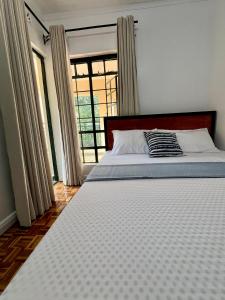 A bed or beds in a room at The Library Hostel