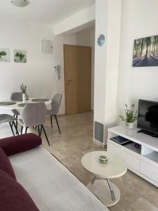 TV a/nebo společenská místnost v ubytování Apartmani Villa Adriatic