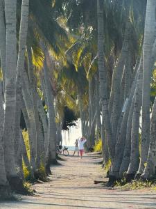 dos personas caminando por un paseo lleno de palmeras en Blue Coral Thoddoo, en Thoddoo