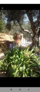 Fotografie z fotogalerie ubytování Villa paradiso v destinaci Castellammare del Golfo