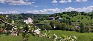 a view of a green field with flowers on a tree at Pod Kasztanem in Zwardoń
