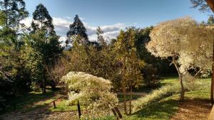 a group of trees with white flowers on them at Pousada Spa Prana Lorien in Santo Antônio do Leite