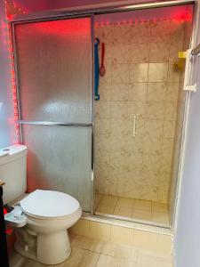 ein Bad mit einer Dusche und einem WC in der Unterkunft lovely apartment with free parking in Miami