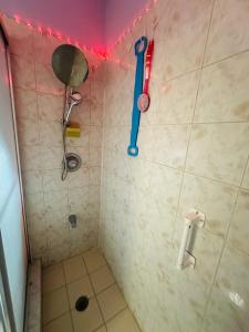 La salle de bains est pourvue d'une douche avec une brosse bleue. dans l'établissement lovely apartment with free parking, à Miami
