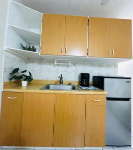 uma cozinha com armários de madeira e um lavatório em lovely apartment with free parking em Miami