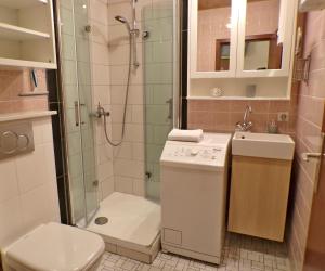 a bathroom with a shower and a toilet and a sink at Ferienhaus am Knoten T12 Küche, Grill, Terrasse, Haustier Willkommen ww-knoten Reihenhaus in Greifenstein