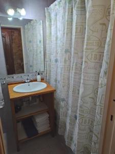 uma casa de banho com um lavatório e uma cortina de chuveiro em Green House em El Calafate
