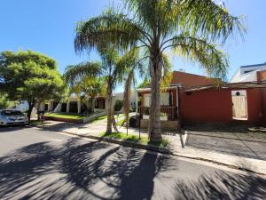 a street with palm trees in front of a house at El Zohar 4 pax in Federación