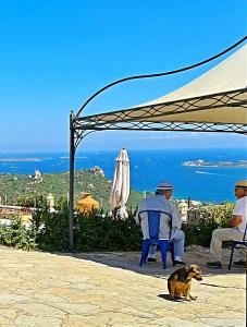 Příroda nedaleko vily