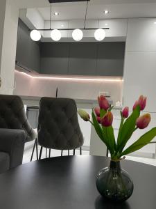Posezení v ubytování Apartman Tara Bar