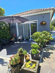 a house with a patio with potted plants and an umbrella at Quinta dos Chorões in São Vicente Ferreira