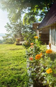 Vrt ispred objekta Maple village