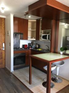 a kitchen with wooden cabinets and a wooden table at AMISTAR BELLAS ARTES in Santiago