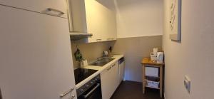 Kuchyň nebo kuchyňský kout v ubytování Apartments Golub