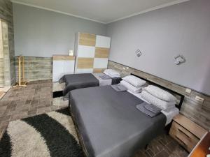 1 dormitorio con 2 camas y alfombra en Glory en Truskavets