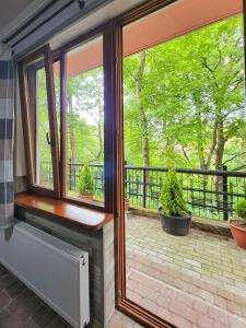 una veranda schermata con finestra e piante di Glory a Truskavec'