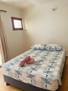 Postel nebo postele na pokoji v ubytování Cartagena Kings Hostel