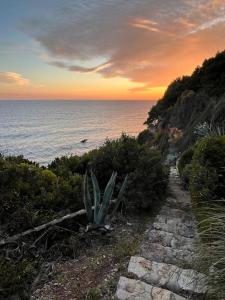 un cactus su un sentiero vicino all'oceano al tramonto di Casa al mare con spiaggia privata condominiale a San Felice Circeo Altre 19 foto