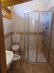 a bathroom with a shower with a toilet and a sink at Locanda Da Pierina in Santo Stefano di Cadore +26 photos
