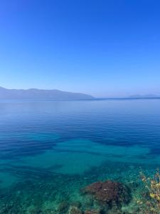 a large body of water with blue water at Vila Endry in Vlorë