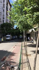 un arbre sur un trottoir à côté d'une rue dans l'établissement New Bazar Luxury Apartment, à Tirana