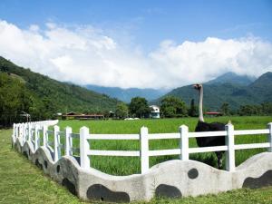Landskap semula jadi dekat dengan homestay