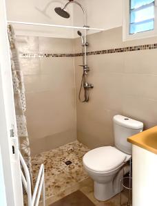 ein Bad mit einem WC und einer Dusche in der Unterkunft Maison d'une chambre avec piscine privee jardin clos et wifi a Port Louis in Port-Louis