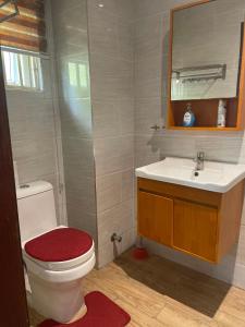 ein Badezimmer mit einem WC, einem Waschbecken und einem Spiegel in der Unterkunft Chez nous house in Accra