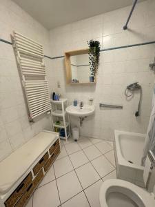 a bathroom with a toilet and a sink at Studio-Apartment mit Balkon in Dresden +43 photos
