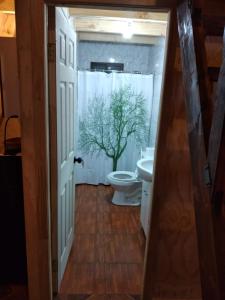 Koupelna v ubytování Cabañas Campo Lindo